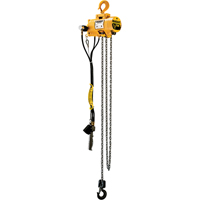 Budgit&reg; Air Chain Hoists NRZ Safety Inc.
