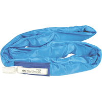 &eacute;lingues rondes, Bleu, 4" la x 8' lo, 23 000 lb Charge verticale NRZ Safety Inc.