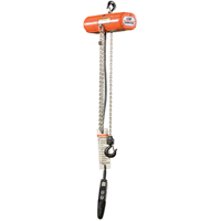 Palans &eacute;lectriques ShopStar, Lev&eacute;e 10', Capacit&eacute; 250 lb (0,125 tonne), 16 pi/min NRZ Safety Inc.