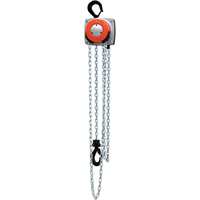 Hurricane 360° Chain Hoist, 10' Lift, 1000 lbs. (0.5 tons) Capacity, Steel Chain NRZ Safety Inc.