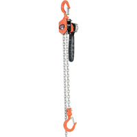 Mini Lever Hoist, 10' Lift, 500 lbs. (0.25 tons) Capacity, Steel Chain NRZ Safety Inc.