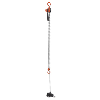Mini Lever Hoist, 15' Lift, 500 lbs. (0.25 tons) Capacity, Steel Chain NRZ Safety Inc.