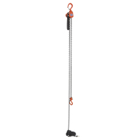 Mini Lever Hoist, 15' Lift, 500 lbs. (0.25 tons) Capacity, Steel Chain NRZ Safety Inc.