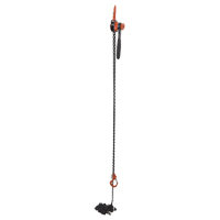 Mini Lever Hoist, 20' Lift, 1000 lbs. (0.5 tons) Capacity, Steel Chain NRZ Safety Inc.