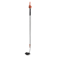 Mini Lever Hoist, 20' Lift, 1000 lbs. (0.5 tons) Capacity, Steel Chain NRZ Safety Inc.