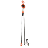 Lever Chain Hoist, 5' Lift, 3000 lbs. (1.5 tons) Capacity, Alloy Steel Chain NRZ Safety Inc.