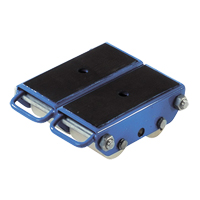 Pakrol 4-Wheel Polyurethane Skate NRZ Safety Inc.