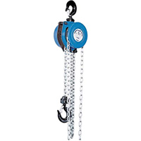Tralift&reg; Manual Chain Hoist, 10' Lift, 4000 lbs. (2 tons) Capacity, Grade 80 Chain NRZ Safety Inc.