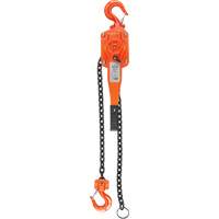 Lever Hoist, 5' Lift, 6000 lbs. (3 tons) Capacity, Alloy Steel Chain NRZ Safety Inc.