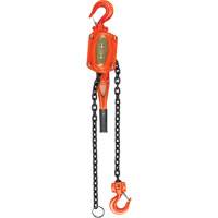 Lever Hoist, 5' Lift, 6000 lbs. (3 tons) Capacity, Alloy Steel Chain NRZ Safety Inc.