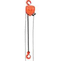 Chain Hoist, 10' Lift, 10000 lbs. (5 tons) Capacity, Alloy Steel Chain NRZ Safety Inc.
