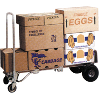 Gemini&reg; Convertible Hand Trucks, Aluminum, 1000 lbs. Capacity NRZ Safety Inc.