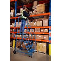 CSA-Certified Rolling Step Ladder, 5 Steps, 22" Step Width, 46" Platform Height, Steel NRZ Safety Inc.