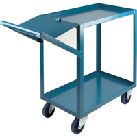Order Picking Carts, 36" H x 18" W x 46" D, 2 Shelves, 1200 lbs. Capacity NRZ Safety Inc.