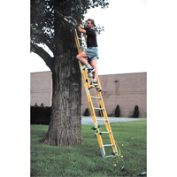 Industrial Heavy-Duty Extension Ladders (6200 Series), 375 lbs. Cap., 13' H, Grade 1AA NRZ Safety Inc.