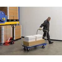 Platform Cart, 48" L x 24" W, 1500 lbs. Capacity, Mold-on Rubber Casters NRZ Safety Inc.