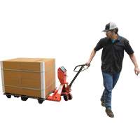 Transpalette, 48" lo x 27,5" la, Capacit&eacute; de 5000 lb NRZ Safety Inc.