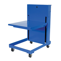 Lift Table, 30"L x 30"W, Steel, 840 lbs. Capacity NRZ Safety Inc.
