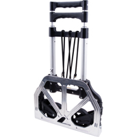 Diables pliables, Aluminium, Capacit&eacute; de 175 lb NRZ Safety Inc.