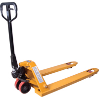 Manual Pallet Truck, Steel, 48" L x 27" W, 5500 lbs. Capacity NRZ Safety Inc.