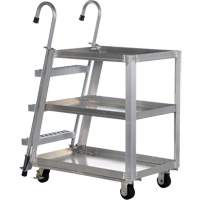 Chariot de pr&eacute;l&egrave;vement de stock, Aluminium, 21-7/8" la x 40" p, 3 tablettes, Capacit&eacute; 660 lb NRZ Safety Inc.