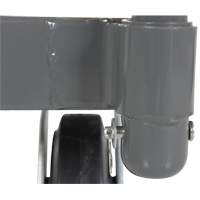 Platform Truck, 48" L x 24" W, 2000 lbs. Capacity, Rubber Casters NRZ Safety Inc.