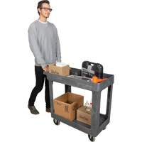 Utility Service Cart, 2 Tiers, 16-1/2" x 32-1/2" x 34-1/2", 550 lbs. Capacity NRZ Safety Inc.