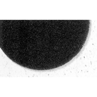 7300 Pro-Strip Pads, 17", Stripping, Black NRZ Safety Inc.