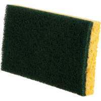 Utility Sponges, Cellulose, 6" W x 3-1/2" L NRZ Safety Inc.