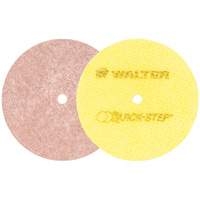 Disques de polissage instantan&eacute; Quick-Step, 5" dia. NRZ Safety Inc.