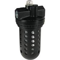 Wilkerson EconOmist&reg; Standard Lubricator L30, 3/4", Max. 150 PSI, Standard NRZ Safety Inc.