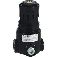 R&eacute;gulateur miniature R03 Wilkerson, 1/8" NPT, PSI max. de 300 psi, Standard NRZ Safety Inc.
