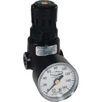 R&eacute;gulateur miniature R04 Wilkerson, 1/4" NPT, PSI max. de 300 psi, Standard NRZ Safety Inc.
