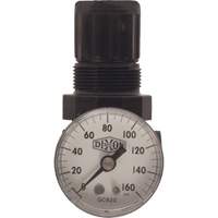 R&eacute;gulateur miniature de s&eacute;rie 1, 1/8" NPT, PSI max. de 100 psi, Standard NRZ Safety Inc.