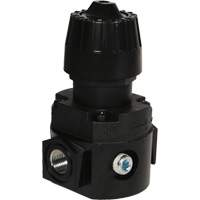 R&eacute;gulateur compact R16 Wilkerson, 1/4" NPT, PSI max. de 300 psi, Standard NRZ Safety Inc.