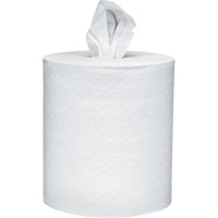 Scott&reg; Essential Paper Towels, 2 Ply, Centre Pull, 625' L NRZ Safety Inc.