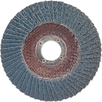 Flap Discs