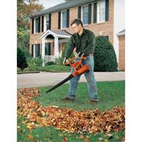 Souffleur/aspirateur/broyeur de feuilles, Vitesse d'air 210 mi/h, &eacute;lectrique NRZ Safety Inc.