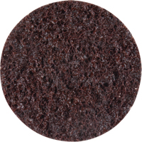 Disques de traitement des surfaces Standard Abrasives, 2" dia., Grain Cors&eacute; NRZ Safety Inc.