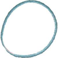 Courroie de conditionnement de surface Scotch-Brite NRZ Safety Inc.