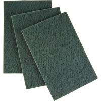Scouring Hand Pad, 6" x 9", Medium Grit NRZ Safety Inc.