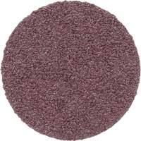 Meule en toile PSA 348D, 20" dia., Grain 60, Oxyde d'aluminium NRZ Safety Inc.