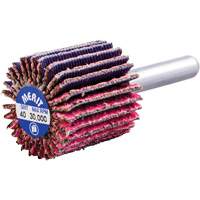 Shank Mounted Mini Flap Wheel, Ceramic Alumina, 40 Grit, 1" x 1" x 1/4" NRZ Safety Inc.