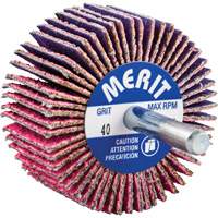 Shank Mounted Mini Flap Wheel, Ceramic Alumina, 40 Grit, 2" x 1" x 1/4" NRZ Safety Inc.