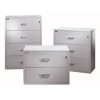 Fire Resistant Filing Cabinets, Steel, 4 Drawers, 38-3/4" W x 23-1/2" D x 55" H, Black NRZ Safety Inc.