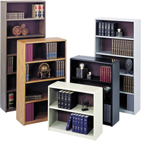 Biblioth&egrave;ques en acier Value Mate NRZ Safety Inc.