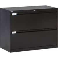 Lateral Filing Cabinet, Steel, 2 Drawers, 36" W x 18" D x 27-7/8" H, Black NRZ Safety Inc.