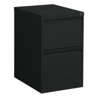 Classeur vertical, Acier, 2 tiroirs, 18-1/7" la x 25" p x 29" h, Noir NRZ Safety Inc.
