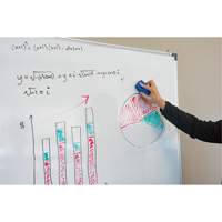Whiteboard Eraser NRZ Safety Inc.