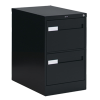 Vertical Filing Cabinet with Recessed Drawer Handles, 2 Drawers, 18.15" W x 26.56" D x 29" H, Black NRZ Safety Inc.